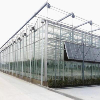 China China Factory Price Cultivation of Vegetables/Fruits/Flowers Galvanized Steel Frame Tomato Strawberry Growing Multi Span Greenhouses for sale