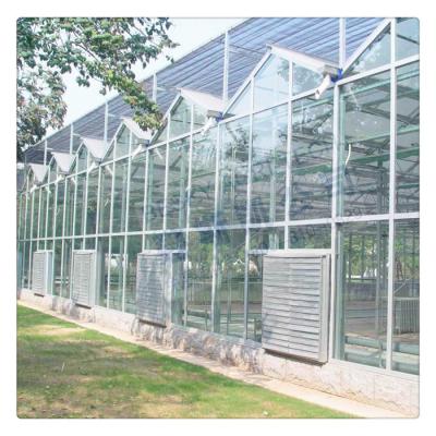 China Simple Structure Multi Span Venlo Glass Tomato Greenhouse With Steel Frame for sale