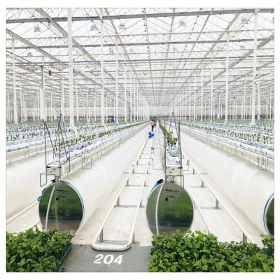 China Glass Easy Install Galvanized Steel Frame Green Tomato Vegetable Glass House for sale