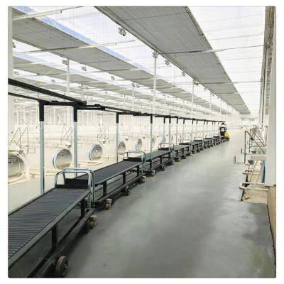 China PC Sheet Customized Agricultural Multi Span Polycarbonate Greenhouse for sale