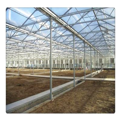 China Growing Vegetables / Fruits / Flowers Factory Price Multi Span Polycarbonate Agricultural Greenhouses for sale