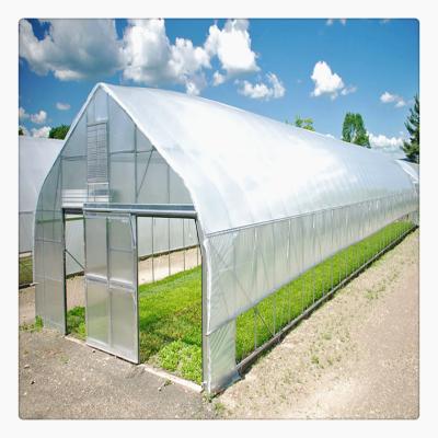 China PE Low Cost Steel Structure Single Install Single Span Tomato Plastic Film Shed Greenhouses for sale