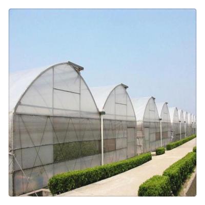 China Film / PC Sheet / Glass Sell Well Agriculture Commercial Green Houses Steel Structure Multi Span Tunnel PE PO Film Greenhouses for sale