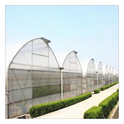 China PE Customized China Hydroponic System Multi Span Tomato Greenhouses for sale