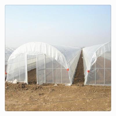 China Green House Tube Tunnel Plastic Sheet Plastic Film Glass High Quality Agricultural Steel Single Span Film/PC Sheet/Greenhouse for sale