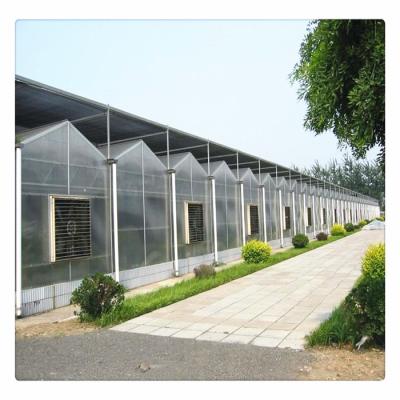 China PC Sheet Hidroponic System Agricultural Vertical Multi Span Greenhouses for sale