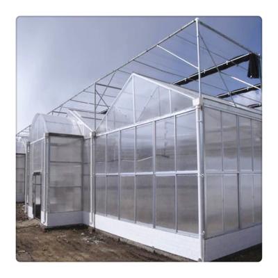 China PC Sheet China Factory Hydroponic System Multi Span Polycarbonate Greenhouse for sale