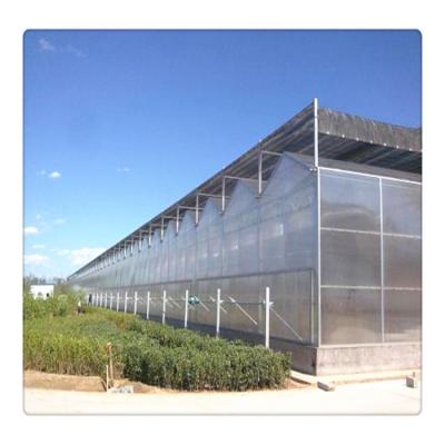 China PC Sheet Factory Manufacture Galvanized Pipe Shaped Steel Structure Venlo Multi Span Polycarbonate Vegetable Greenhouse for sale