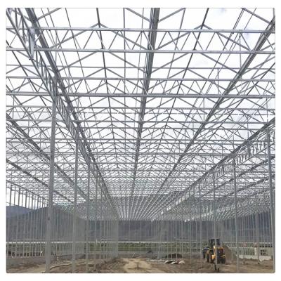 China PC Sheet Customized Agricultural Equipment Multi Span Polycarbonate Greenhouse for sale