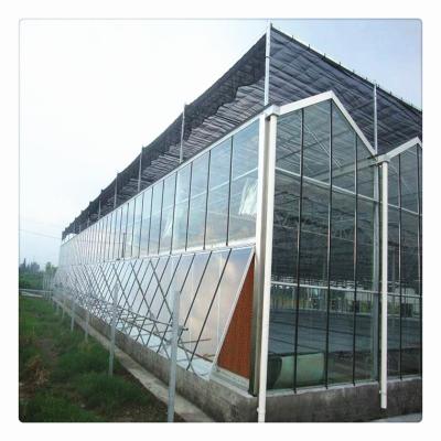 China High Strength Commercial Agricultural Film / PC Sheet / Glass Multi Span Galvanized Steel Structure Green Glass Venlo Houses for sale