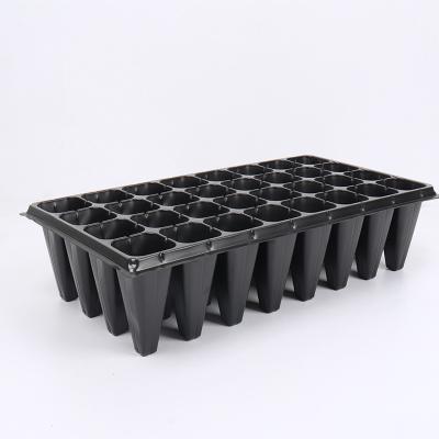 China Outdoor - Deep Plastic Seed Tray Garden Greenhouse Flowers Vegetables Solid 32 Cell Seed Starter Trays for sale