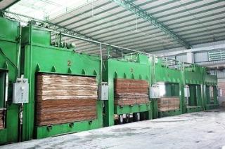 Verified China supplier - Dongguan Tongli Timber Products Co., Ltd.