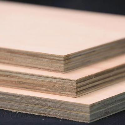 China High quality fireproof sheets of wood modern hot sale plywood construction plywood for office building for sale