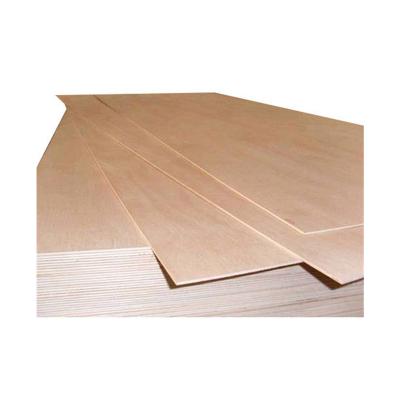 China Modern Popular Factory Doors Price 2022 Cheap Basswood 3mm Plywood for sale