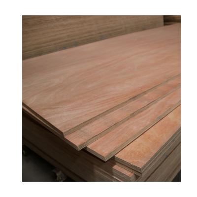 China Reasonable Price Modern High Grade Chinese Basswood Maple Plywood for sale