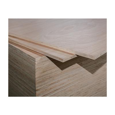 China Modern best price promotion cheap veneer plywood 4x8 plywood eucalyptus plywood commercial sheet for sale