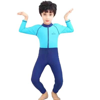 China Boys Viable Girls Swimwear Wetsuit Long Sleeve One Piece Swimwear For Diving Swimming Surfing for sale