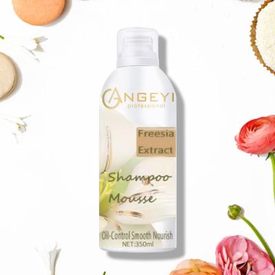 China Nourishing Freesia Extract Olive Oil Oil-control Nourishing Smooth OEM Customized Formula Shampoo Foam champu for sale