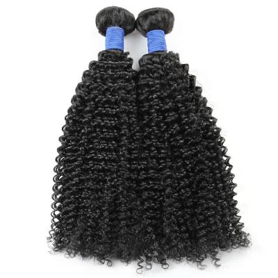 China 2023 Factory Wholesale New Product Water Wave Brazilian Virgin Remy Human Hair 100% Curly Virgin Human Hair 2023 Cuticle Wave Bundles Hair Hairstyles for sale