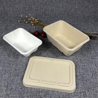 China 180*125*39mm Bio-Degradable Compartment Takeaway Box for Hot Food Takeout Service for sale