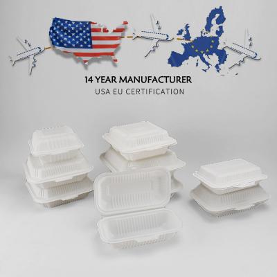 China Single Tier Disposable PP Plastic Takeout Hinged To Go Food Containers for Togo Lunch Te koop