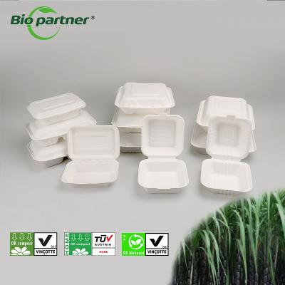 China Biodegradable Customized Logo Acceptable Disposable Food Container for Takeout Lunch en venta