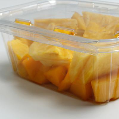 중국 Snack PET Hinged Container Tamper Proof Evident Clear Packaging for Large Storage Box 판매용