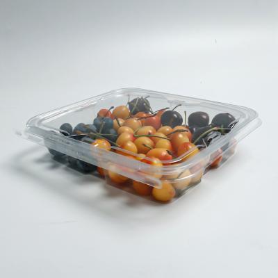 Κίνα Disposable PET Clamshell Clear Take Out Containers with Tamper Evident Proof Closure προς πώληση