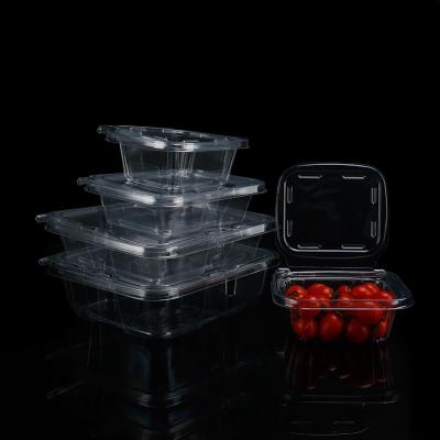 중국 Convenient Tamper evident PET Clear Food Container for Takeout and Fruit Disposable 판매용