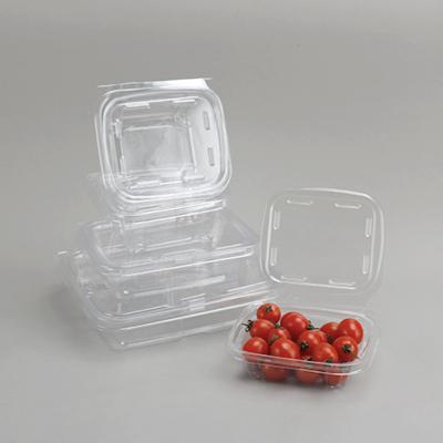 China Clear Plastic Blister Box for Supermarket Packaging of Cut Fruit and Vegetable Punnet zu verkaufen