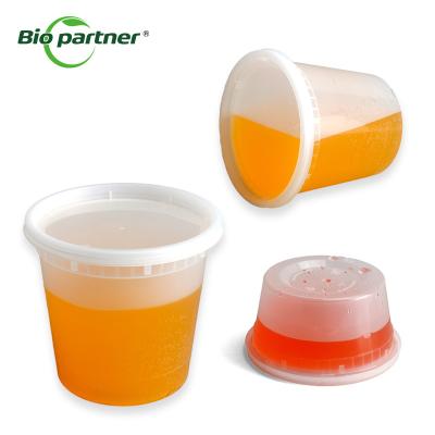 Chine Clear Lid 8 oz 16 oz 32 oz Plastic Deli Food Storage Containers with Customized Logo à vendre