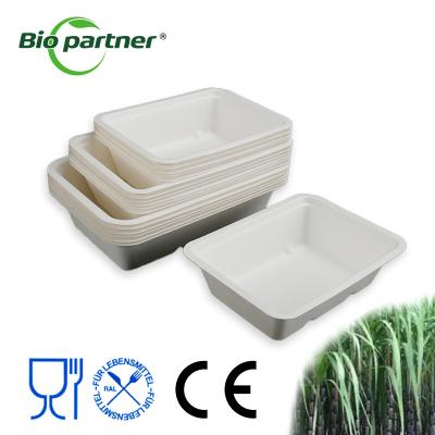 China Disposable Eco-friendly Biodegradable French Fried Hot Dog Serving Chicken Snack Tray for sale