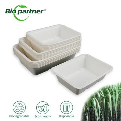 China Compostable Sugarcane Bagasse Disposable Takeaway Hot Dog Snack Tray for Food Packing zu verkaufen