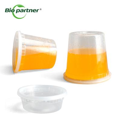 China CLASSIC Design Style Clear Soup Plastic Takeout Food Container for Back to School for sale