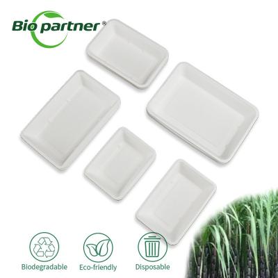 China Eco-Friendly Sugarcane Bagasse Boat Snack Tray Container for Back to School Occasion Te koop