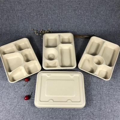 China X23 Promotion White and Beige Biodegradable Sugarcane Bagasse Food Container with Lid Te koop