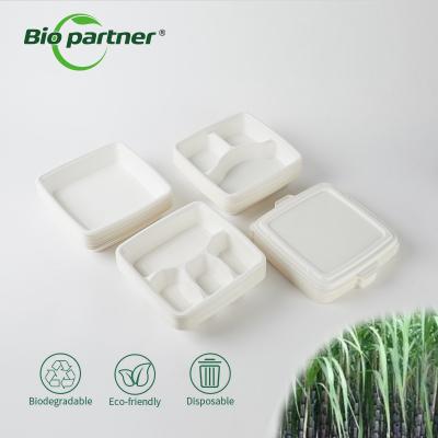 China 6 Compartment Disposable Lunch Rice Bento Box for Home Hotel Restaurant Wedding Party Te koop