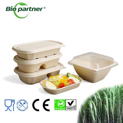 China Biodegradable 16OZ Salad Bowl Disposable WITH LID Made from Sugarcane Pulp Bagasse for sale