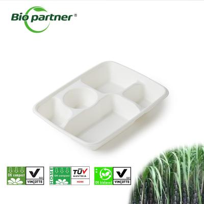 Chine Disposable Sugarcane Bagasse Pulp Tray for Food Catering Eco-Friendly and Compostable à vendre