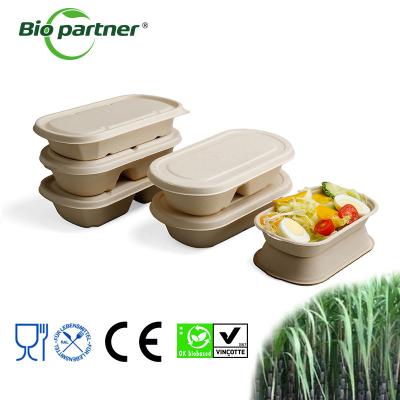 China Customized Size Biodegradable Salad Hot Soup Sugarcane Bagasse Pulp Bowls With Lid for sale