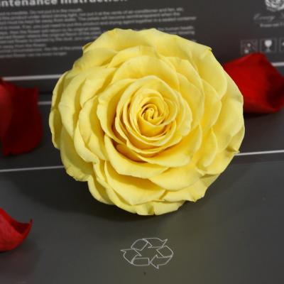 China 100% Preserved Nature Fresh Rose Chinese Factory Valentine's Day Touch Decorative Artificial Plants Home Decoration Flower 9-10cm Preserved Real Rose Head for sale