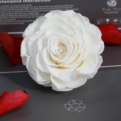 China 100% Preserved Nature Fresh Rose Box Flower Eternal Long Lasting Indoor And Outdoor Wedding Centerpiece Decoration 9-10cm Preserved Real Rose Head for sale