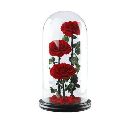 China Preserved Rose Modern Latest Custom-Made Valentine'S Day Gift Wholesale Preserved Flowers Eternal Rose Glass Cover Rose Gift Boxes for sale