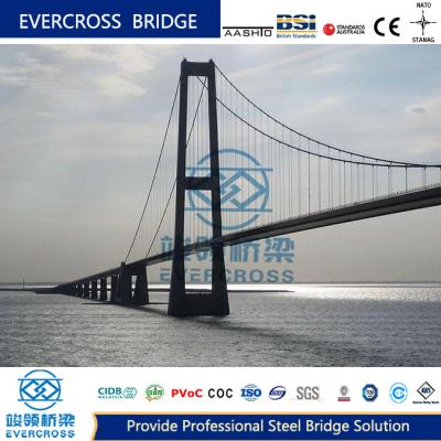 China High Strength Cable Stayed Suspension Bridge Customized Large Span for sale