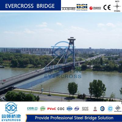 China High Stability Steel Cable Suspension Bridge For Highway Traffic Long Life for sale