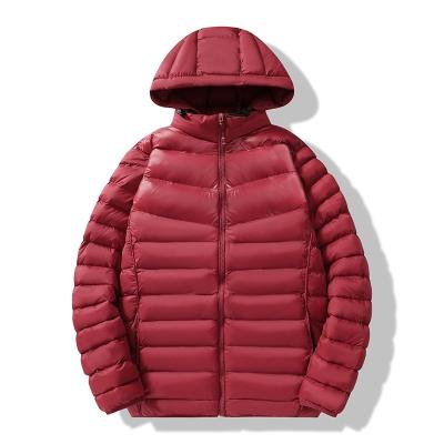 China OEM Factory Custom Logo Warm Light Weight Puffer Waterproof Padded Winter Jacket Thick Mens Jackets for sale