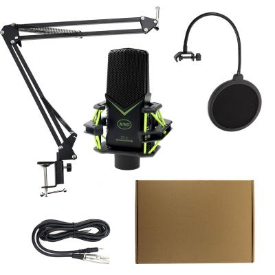 China High Demand Microphone Products Studio Equipment Cable Studio Recording Professional Microphone for sale