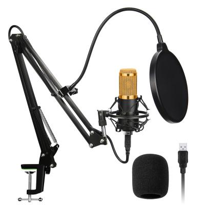 China Shock Mount Hign Quality Factory Direct Mini Wire Studio Condenser Microphone Professional for sale