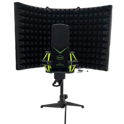 China Reduce Noise Hot Sale Reduce Sound Noise Isolation Shield For Professional Recording Microphone for sale