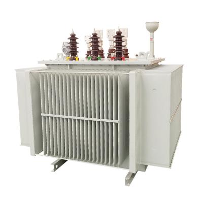 China El tipo minero bobina del aceite 1000KVA de la clase tres del transformador 20KV descarga en venta